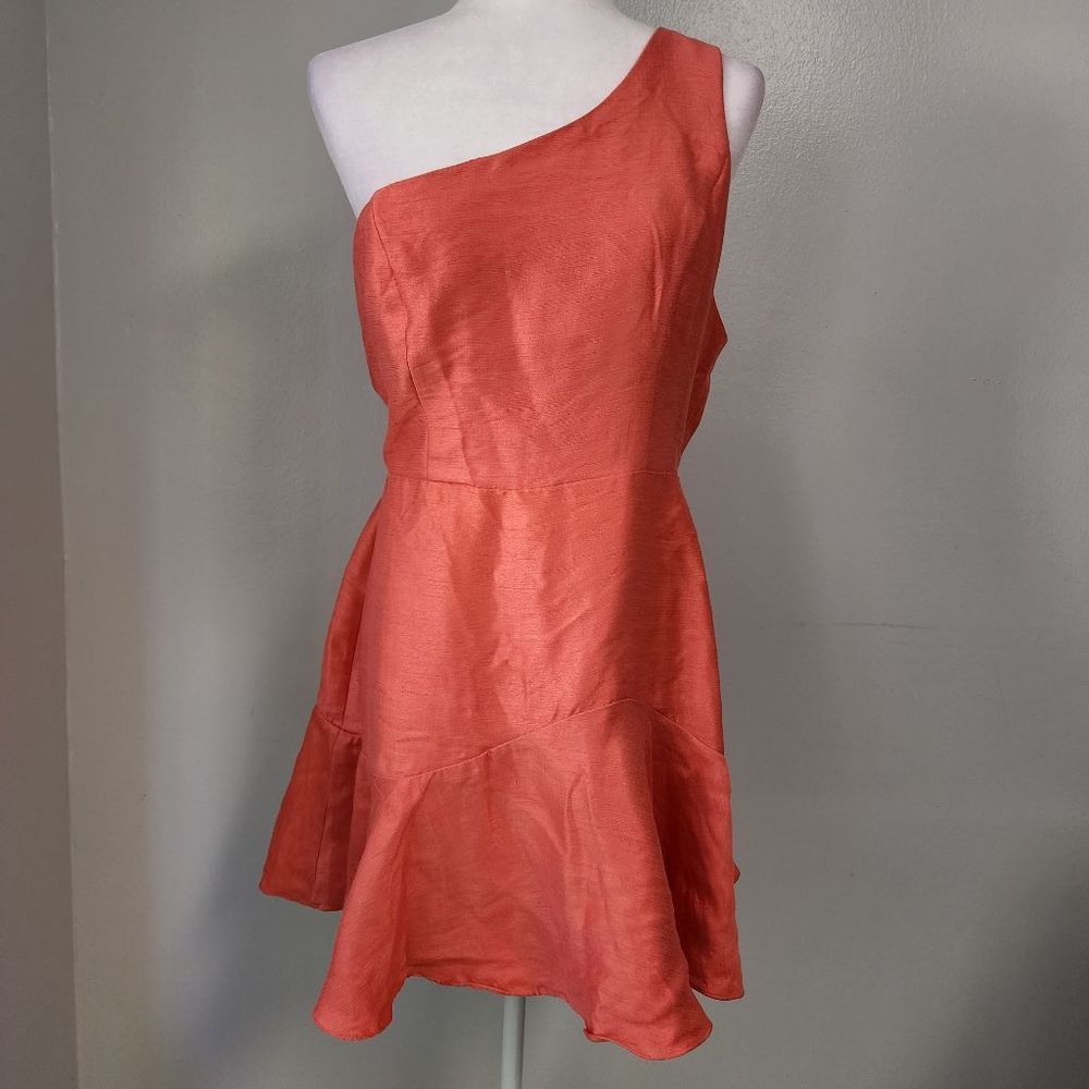 Do+Be One Shoulder Ruffle Dress